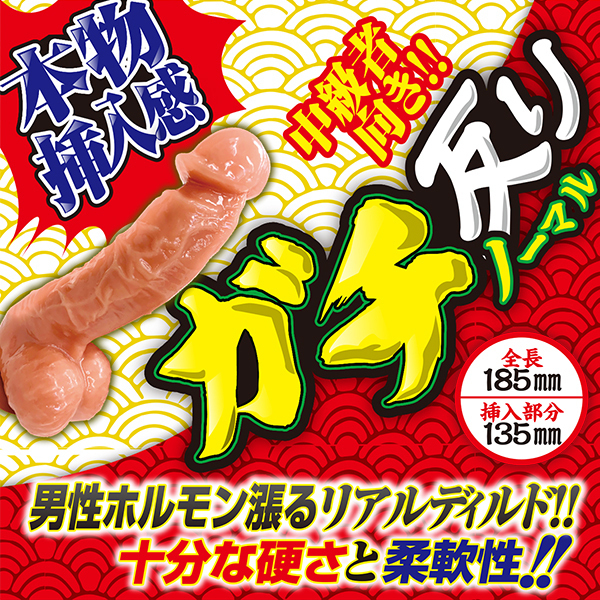 �y�P�P�V�O�~�����ʌ���z�K�`����@�i�m�[�}���j������l�l�P�_���聄